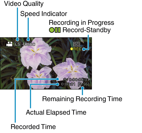 Indications Time-Lapse